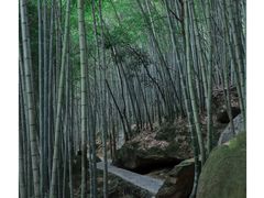 -黄山翡翠谷景区