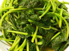 红薯叶-何氏排骨(左家塘店)