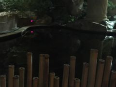 -顺景温泉