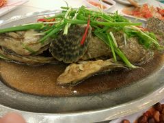-越海渔村