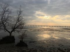 -宝安西湾红树林湿地公园