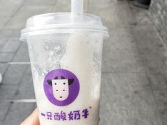 -一只酸奶牛(奎星楼店)