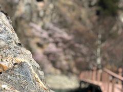 -叠溪松坪沟景区