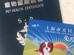 -申普宠物医院·心脏介入·心血管微创(总院)