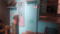 点击看大图 -金棕榈