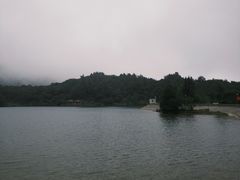 -大姆山草场