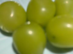 -眉州东坡(龙湖店)