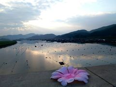 -北岐滩涂