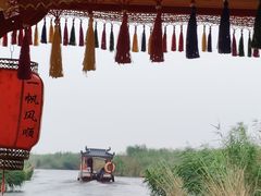 -白洋淀景区