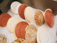 虾夷扇贝-官也街澳门火锅(新源里店)