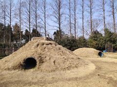 -前小桔亲子创意农场·草莓采摘·露营烧烤