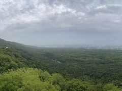 -紫金山天文台