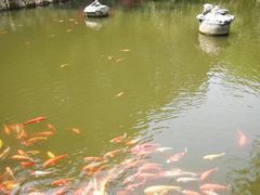 -南国桃园旅游度假区