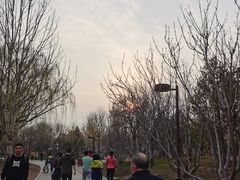 -回龙观体育文化公园