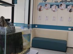 -睿金宠物医院·CT·肿瘤·骨外科