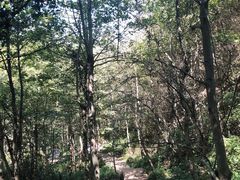 -巨石山景区
