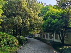 -杭州植物园
