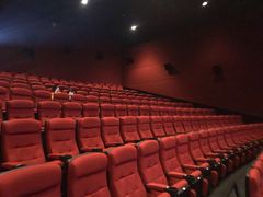 -万达影城(锦华万达广场IMAX店)