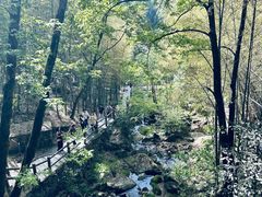 -藏龙百瀑风景区