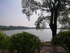 -丁香湖公园