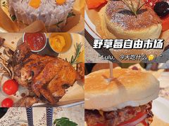 -野草莓自由市场