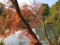 -八大山人梅湖景区