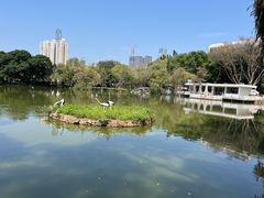 -人民公园(罗湖区)