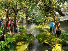 -Chom Cafe and Restaurant