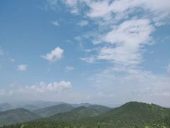 -武陵山森林公园