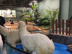 -上海大自然野生昆虫馆(东方明珠·爬宠昆虫探索中心)