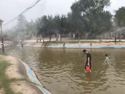 -上美四季动物农场