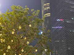 -深圳湾万象城(南山店)