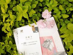 -猫的天空之城概念书店(印象城购物中心店)