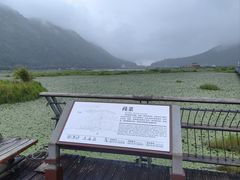 -腾冲北海湿地