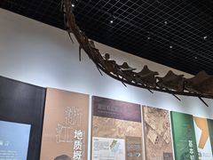 -衢州市博物馆