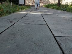 -北京鹫峰国家森林公园