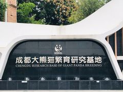 景点-成都大熊猫繁育研究基地