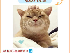 -唐小姐の猫狗洗护·购宠旗舰店(周浦万达店)