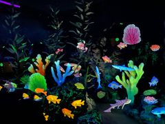 -珠海长隆海洋王国