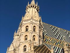 -斯蒂芬主教座堂(Stephansdom)