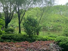 -和县香泉温泉度假村