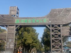 -溱湖国家湿地公园