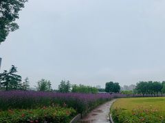 -杭州城北体育公园