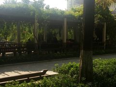 -郑和公园