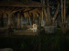 -清迈夜间动物园