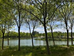 -东郊湿地公园