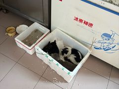 -清真·白家牛肉罩火烧老店(育才街店)