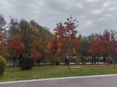 -长春世界雕塑园冰雪艺术天地