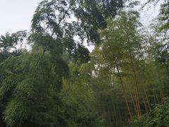 -陶祖圣境风景区