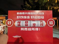 -广州长隆国际大马戏